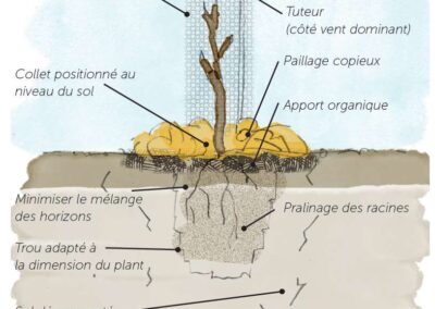 Galerie Agroforesterie