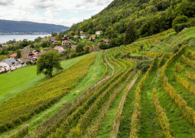 Galerie Vignes d’Exceptions