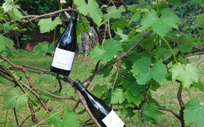 Clos du château évènement